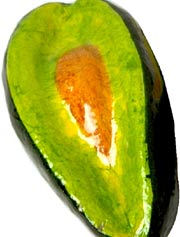 Avocado